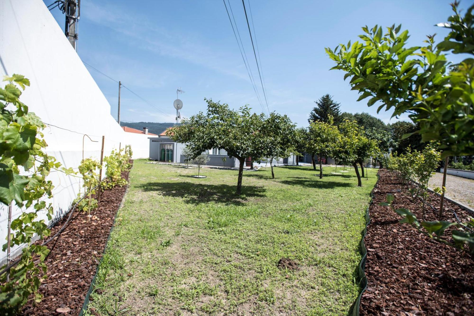 Willa Quinta Do Pomar Pomar Farm Briteiros Zewnętrze zdjęcie